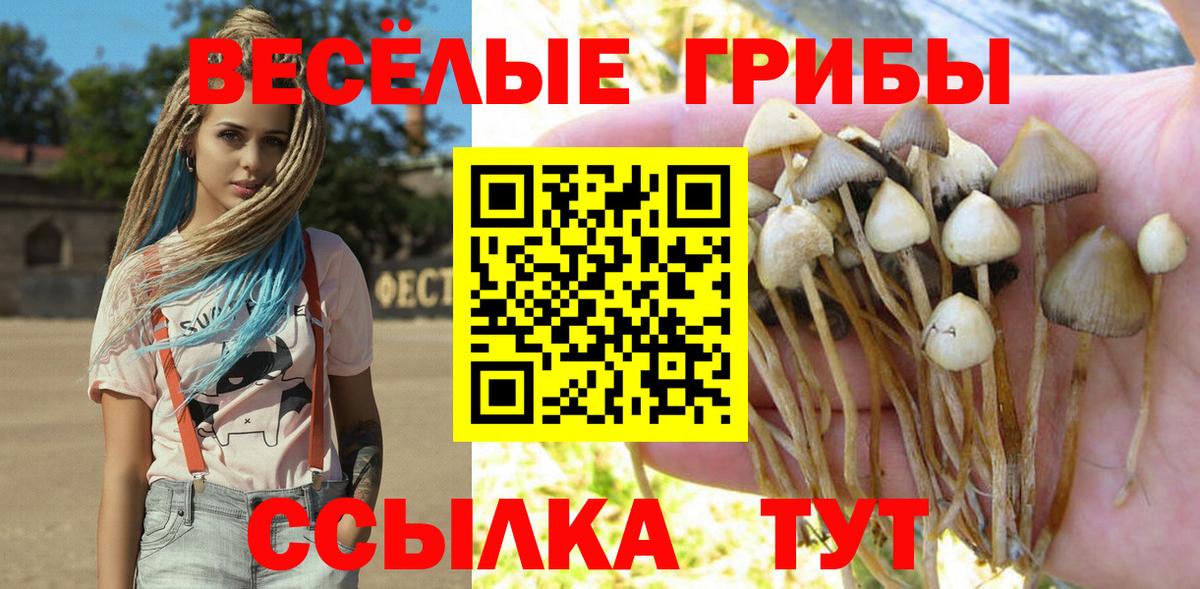 Йошкар-Ола  Псилоцибиновые грибы прущие грибы  купить   Вход с VPN 