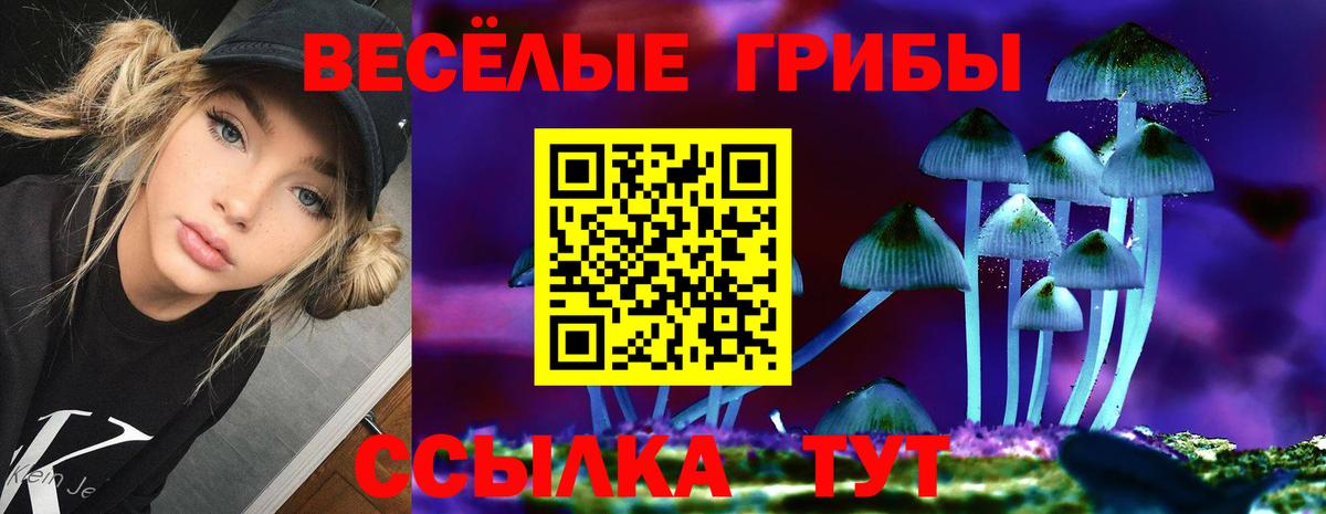 Псилоцибиновые грибы Cubensis Йошкар-Ола